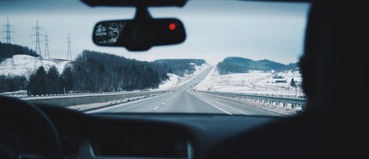 Tips for Holiday Travel With Your Pet