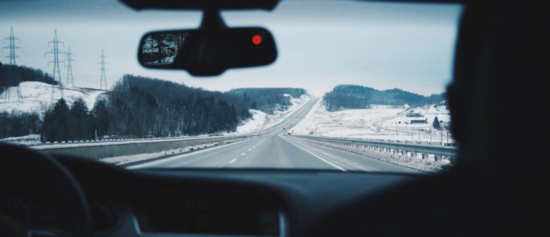 Tips for Holiday Travel With Your Pet